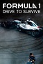 Formula 1: Drive to Survive (TV Series 2019- ) - Posters — The Movie ...