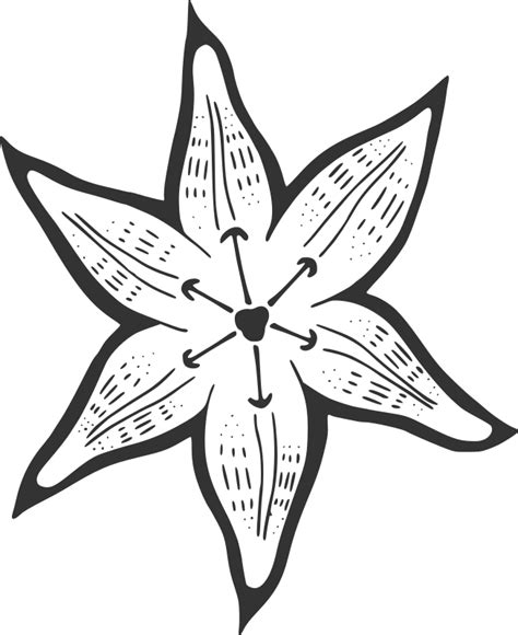 A Lily For Becky Openclipart