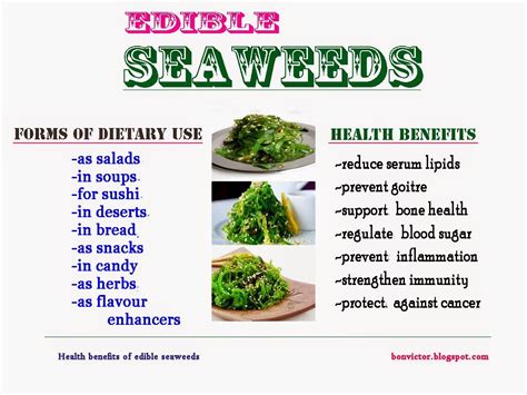 Top 10 Edible Varieties Of Seaweed Edible Seaweed Healthy Eating Edible