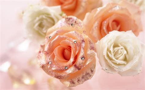 Romantic Roses Roses Wallpaper 13966426 Fanpop