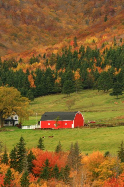 19 Beautiful Barns To Get You In The Fall Spirit Country Barns Old
