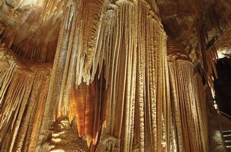 The 5 Best Things To Do In Jenolan Caves Updated 2019 Must See