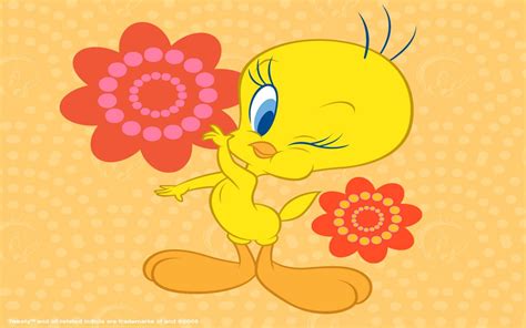 Pin By Deyanira E Figueroa On Piolin Tweety Tweety Bird Quotes