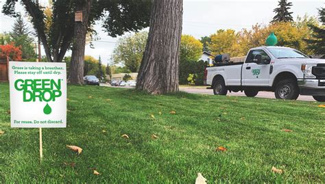 10 Essential Fall Lawn Maintenance Tips Green Drop