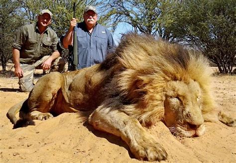 Trophy Hunting A Very British Contribution Animal Charity Animal