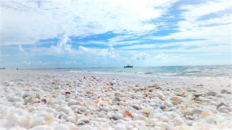 We did not find results for: Best Beaches in Florida for Beach Combing & Shelling