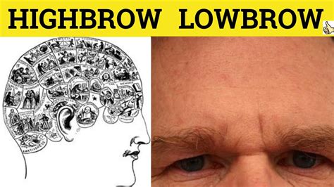 Highbrow Lowbrow Highbrow Meaning Lowbrow Examples Highbrow