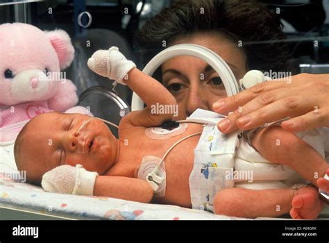 Enfermera Atiende Bebé Prematuro En Una Incubadora En La Unidad De