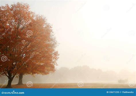 Foggy Autumn Landscape Stock Image Image Of Maple Horizontal 33671235