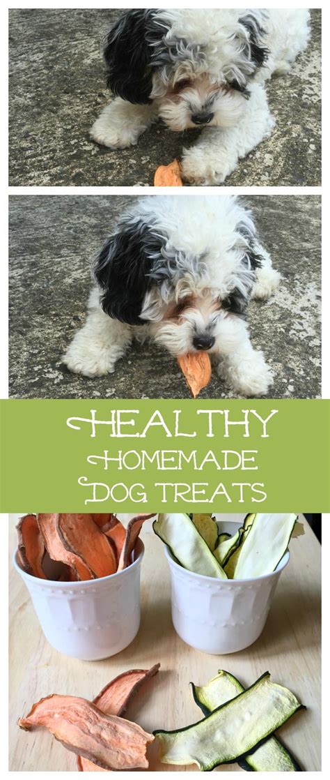 Snacks are useful for training purposes, and dogs, like everyone else, take pleasure in a good snack. Healthy Homemade Dog Treats - My Life Cookbook