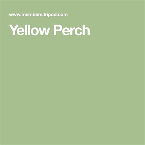 Yellow Perch Perched Yellow Fly Tying