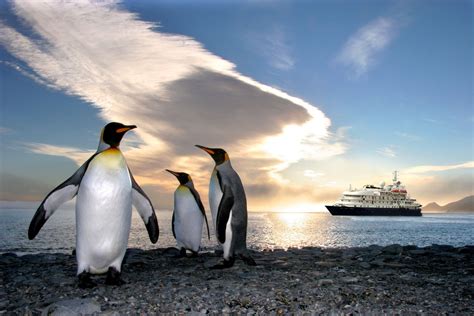 Expeditions Kreuzfahrt Zehn Mal In Die Antarktis