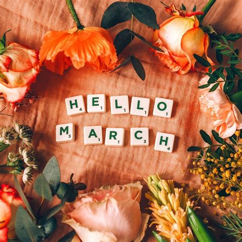 Hello March Womens Day Flowers Hello March Avas Flowers Months