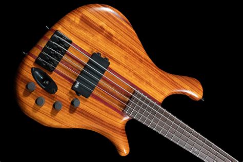 Bass Of The Week Rg Custom Basses 5 String No Treble