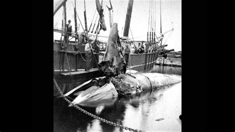 3d Photographs Of Whaling Ships In Massachusetts Documentary 1800s