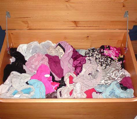 Some Of My Panties I Had Too Many Drawers Full So I Put T Flickr