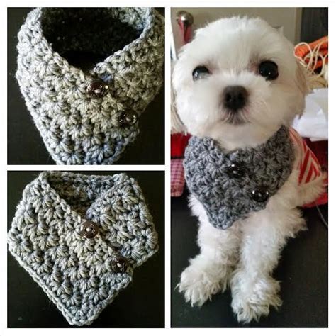 How To Make A Knitted Dog Scarf Tokhow