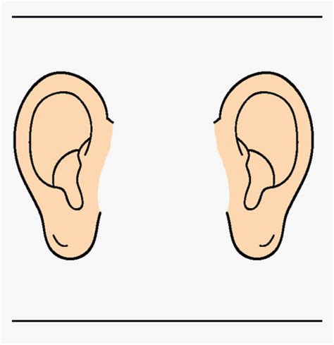 Pair Of Ears Clip Art
