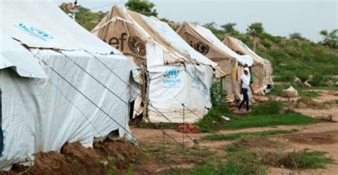 Un Eritrea Expert Urges Probe Of Refugee Camp Attack In Ethiopia