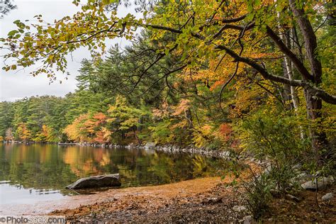 Squam Lake Fall Leaf Colors West Rattlesnake Mountain Trail New