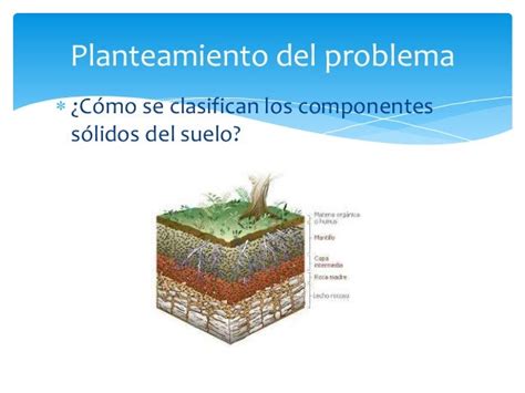 Clasificación De Los Componentes Solidos Del Suelo