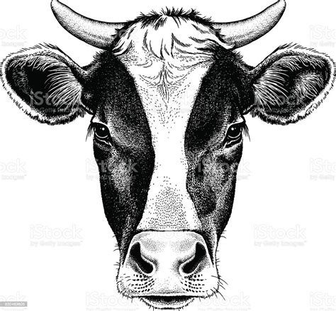 Black And White Cow With Horns Stock Illustration Download Image Now