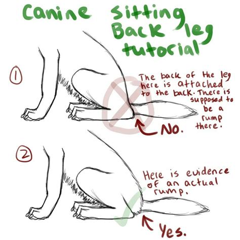 Instead, here's a simple guide for drawing a sitting dog that can be adjusted depending on what kind of dog you're drawing. Pin by Barbara Daley on Art and writings | Dog anatomy ...