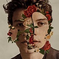 Shawn Mendes on Spotify