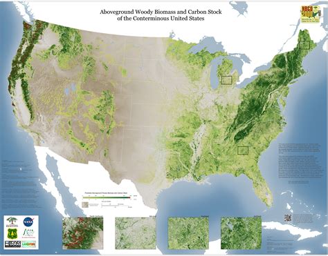 Where is the only tropical forest in the United States?