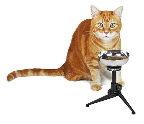 Though this feeder is ant proof alley cat allies recommends feeding cats only the amount they can eat in a 30 minutes sitting. Ant Proof Raised Pet Bowl for Cats and Small Dogs with ...