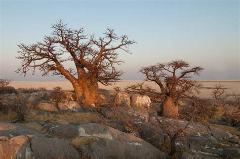 Most Visited Monuments In Botswana Famous Monuments Of Botswana World