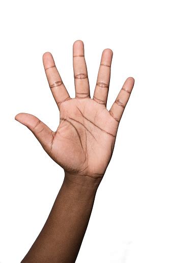 Hand Holding Up Five Fingers Stock Photo Download Image Now Hand