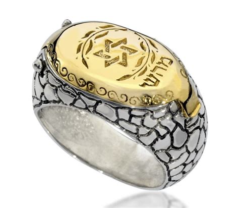 Snake Design Kabbalah Ring With Locket Canaan