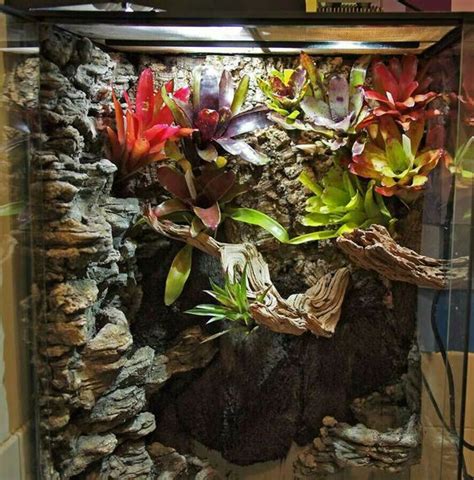 So i don't feel confident in answering this question. Home Decor Upgrades: 7 Reptile Tank Ideas for Inspiration | Vivarium, Reptile terrarium, Reptile ...