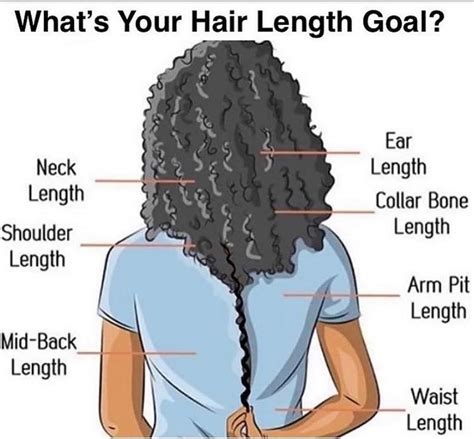 The Fullest Hair Length Chart That Describes All Hair Lengths Hadviser