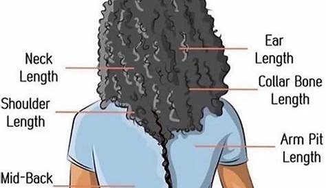 The Fullest Hair Length Chart That Describes ALL Hair Lengths - Hadviser