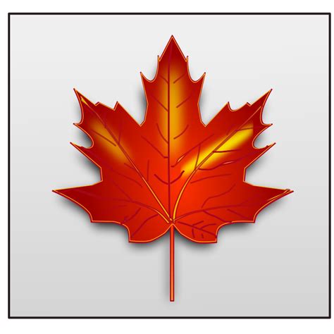 Download Maple Leaf Svg File Free Background Free SVG files