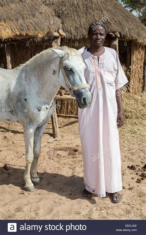 Stock Photo Senegalese Farmer And His Horse Bijam A Wolof Village