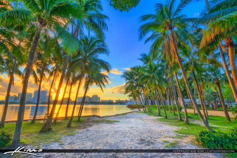 Palm Beach Island Coconut Trees Sunset Waterway Royal Stock Photo