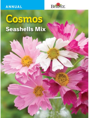 Burpee Cosmos Seashells Mix Seeds 1 Ct Fred Meyer