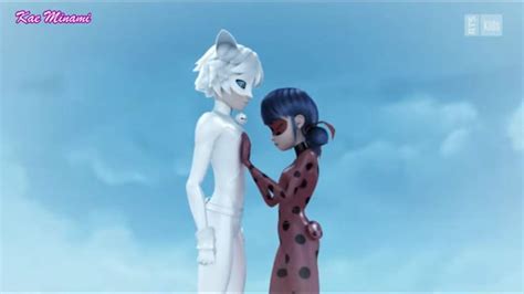 Image De Chat Miraculous Ladybug Chat Blanc English Full