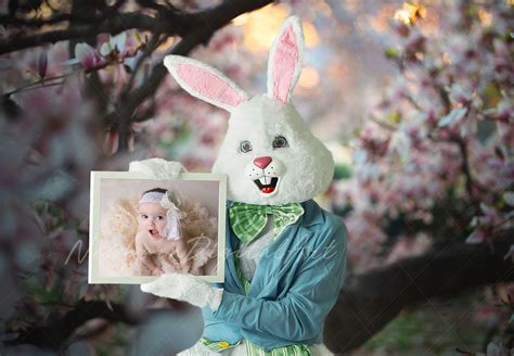 Easter Bunny With Frame Digital Backdrop Easter Backdrop Etsy