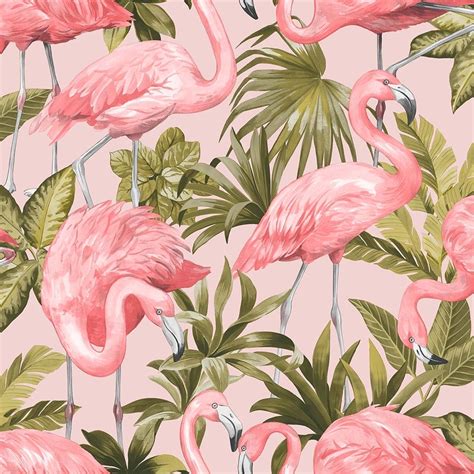 Flamingo Wallpaper Blush Pink Фламинго обои Фрески Фламинго