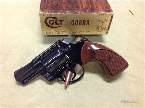 Colt Cobra 38 Special Snub Nose Anib For Sale 929245300