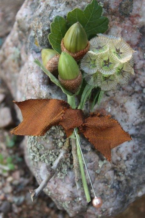 Acorn And Scabiosa Pod Bout I Have A Wedding Coming Up Something Like