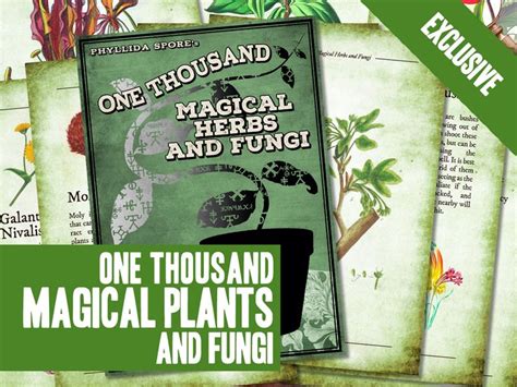 851 Best Hp Herbology Images On Pinterest Hufflepuff Pride Fantastic