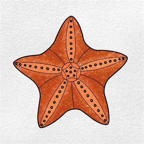 How To Draw A Starfish Helloartsy