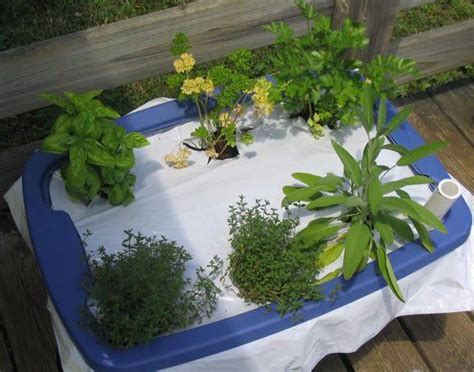 18 Rubbermaid Container Gardening Ideas You Must Look Sharonsable