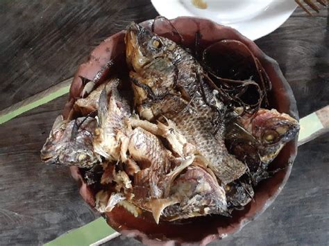 Sebelumnya, bersihkan dulu ikan mujair lalu lumuri dengan kunyit, air jeruk nipis dann garam. Ikan Asli Danau Sentani Papua Tergusur Ikan dari Sukabumi Jawa Barat - Travel Tempo.co