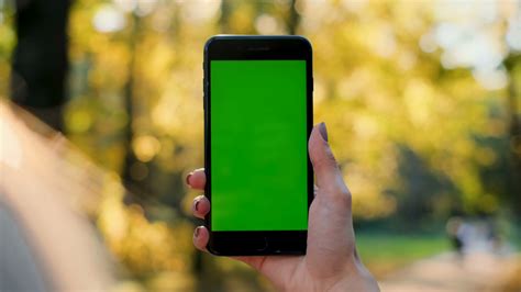 Female Hand Holding Smartphone With Green Stock Footage Sbv 331523848